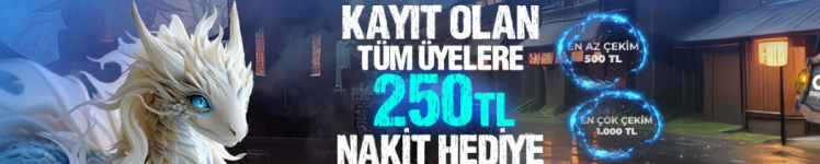 Ekran görüntüsü 2024-11-04 142643.png